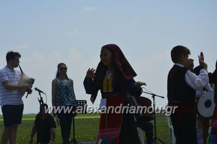 alexandriamou.gr_trikala28.5.2018214